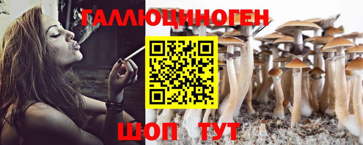 Псилоцибиновые грибы мицелий Сланцы