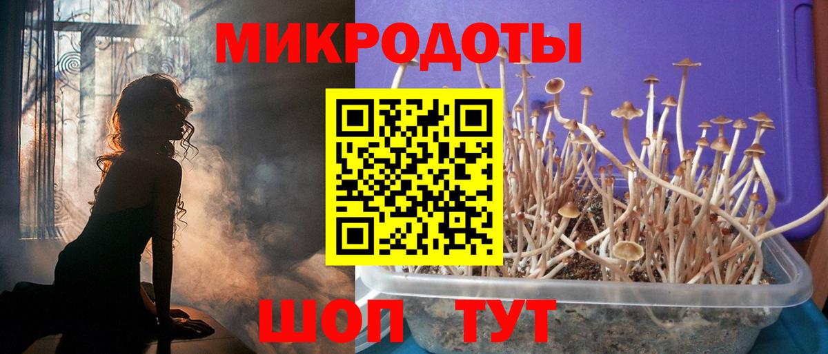 Галлюциногенные грибы прущие грибы  Вход с VPN  Сланцы 